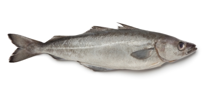 Alaska 700